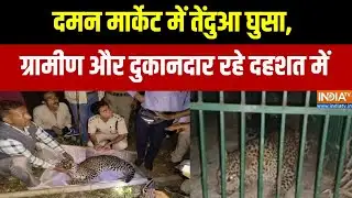 Daman Tendua Rescue: दमन मार्केट में तेंदुआ घुसा, ग्रामीण दहशत में | Rescue Operation | India TV