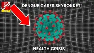 Dangerous Surge in Dengue Cases | Vsh News