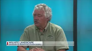 Dangers of Removing Storm Debris