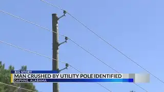 Daphne man killed by falling power pole