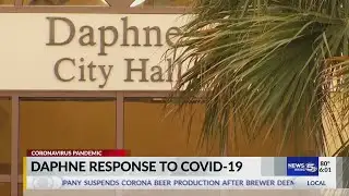 Daphne response to COVID-19