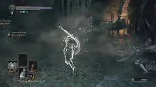 DARK SOULS III Glitch - Pve Enemy Starts Use Lag Switch?