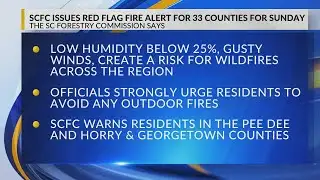 Darlington, Horry issue burn bans amid high wildfire risk