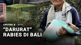 "Darurat" Rabies di Bali | Liputan 6