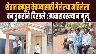 Daryapur News | वन प्राण्याच्या हल्ल्यात महिलेचा मृत्यू : दर्यापूरच्या गायवाडी येथील घटना