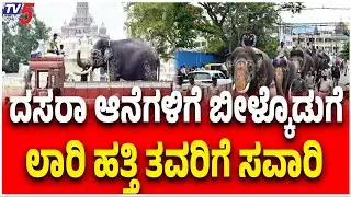 Dasara 2025: Elephants Return Home After Jamboo Savari | ಆನೆಗಳಿಗೆ ಬೀಳ್ಕೊಡಿಗೆ ಲಾರಿ ಹತ್ತಿ ತವರಿಗೆ ಸವಾರಿ
