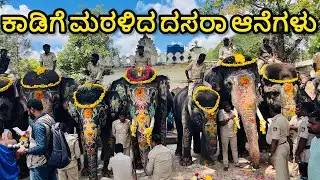 Dasara Elephants Return Home | ಕಾಡಿಗೆ ಮರಳಿದ ದಸರಾ ಆನೆಗಳು | Mysore Dasara 2025 | Abhimanyu | Bheema