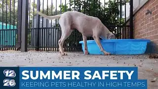 Dashcam video raises questions about Julian Lewis shooting