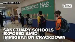Database exposes scale of sanctuary school districts amid immigration crackdown