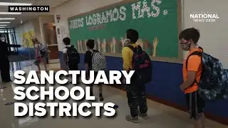 Database exposes scale of sanctuary school districts