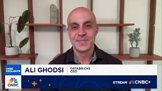 Databricks CEO on AI: VCs are wondering if agentic AI will actually automate work