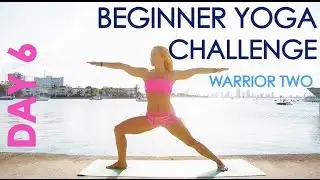 Day 6 Beginner Yoga Challenge: Warrior Two