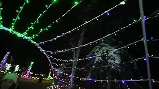Dazzling displays at the Zoo: Alaska’s annual ‘Zoo Lights’ is back