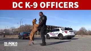 DC police K9 helps find 2 missing people: EXCLUSIVE | FOX 5 DC
