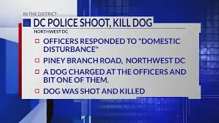 DC police shoot, kill dog; investigation underway