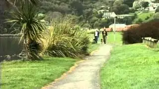 DCC signs contract with Black Power