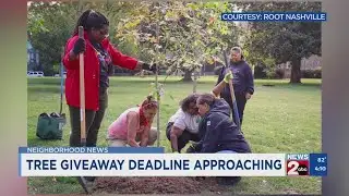 Deadline for tree giveaway approaching
