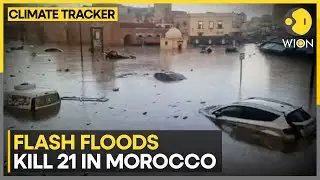Deadly Flooding Strikes Coastal Morocco | WION Climate Tracker
