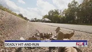 Deadly hit-and-run in High Point