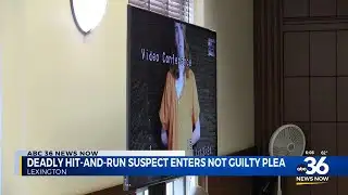Deadly Hit-and-run suspect enters not-guilty plea