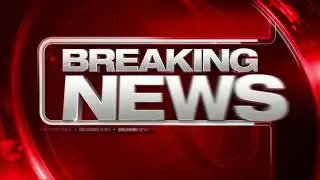 Deadly pedestrian bridge collapse