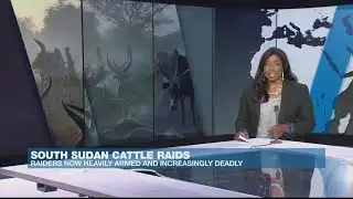 Deadly Raiders. South Sudanese cattle rustlers launch fatal attacks