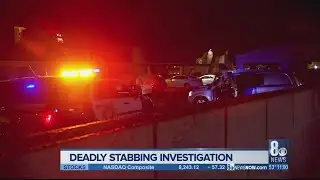 Deadly stabbing investigation