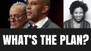 Dear Democratic Party Leadership, What’s Your Plan?