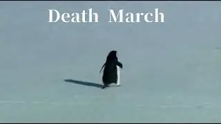 Death March ( That One penguin )