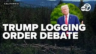 Debate erupts over Trump forest policy