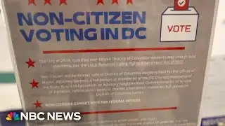 Debunking false claims that undocumented immigrants are voting illegally