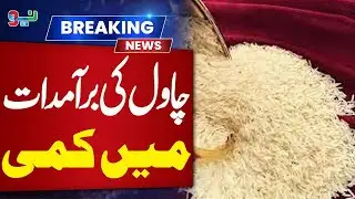 Decrease in Rice Exports | Latest Updates | Pakistan News | NEO News