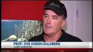 Deep Reef Coral Discoveries - WIN News