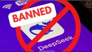 DeepSeek Banned !