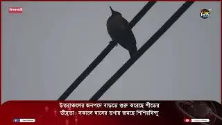 নীলফামারীতে বাড়তে শুরু করেছে শীতের তীব্রতা || Deepto News