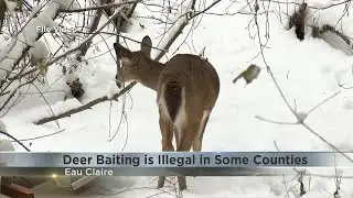 Deer baiting is illegal in some counties
