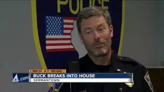 Deer breaks into Germantown man’s home