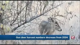 #Deer harvest numbers down from last year