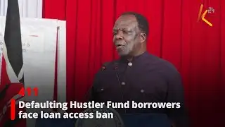 Defaulting Hustler Fund borrowers face loan access ban