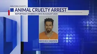 DeFuniak Springs man faces charges for allegedly stabbing dog