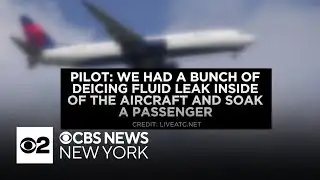 Deicing fluid leaks into cabin on Delta flight at LaGuardia Airport