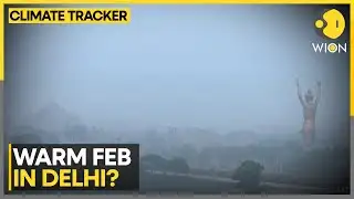 Delhi Weather Shifts, Cold Wave Eases,  Minimum Temp Jumps | WION Climate Tracker