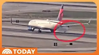 Delta Flight Returns to Airport After Bird Strike