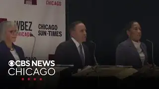 Democratic Illinois U.S. Senate candidates face off in debate