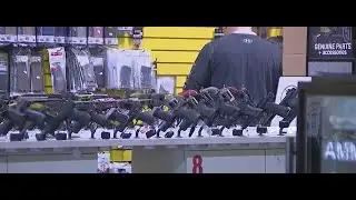 Democratic lawmakers, activists urge support for several gun control bills