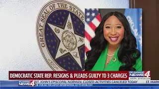 Democratic State Rep. resigns & pleads guilty to 3 charges