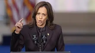 Democrats ‘debase’ female intelligence thinking Harris would pull more women voters