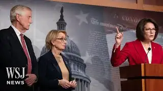 Democrats Defend U.S. Government Shutdown Vote | WSJ News