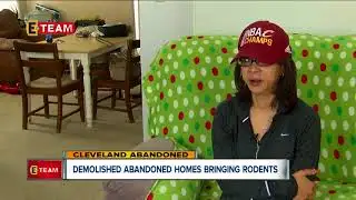 Demolished abandoned homes bringing unwanted guests