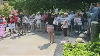 Demonstrators rally for gun control